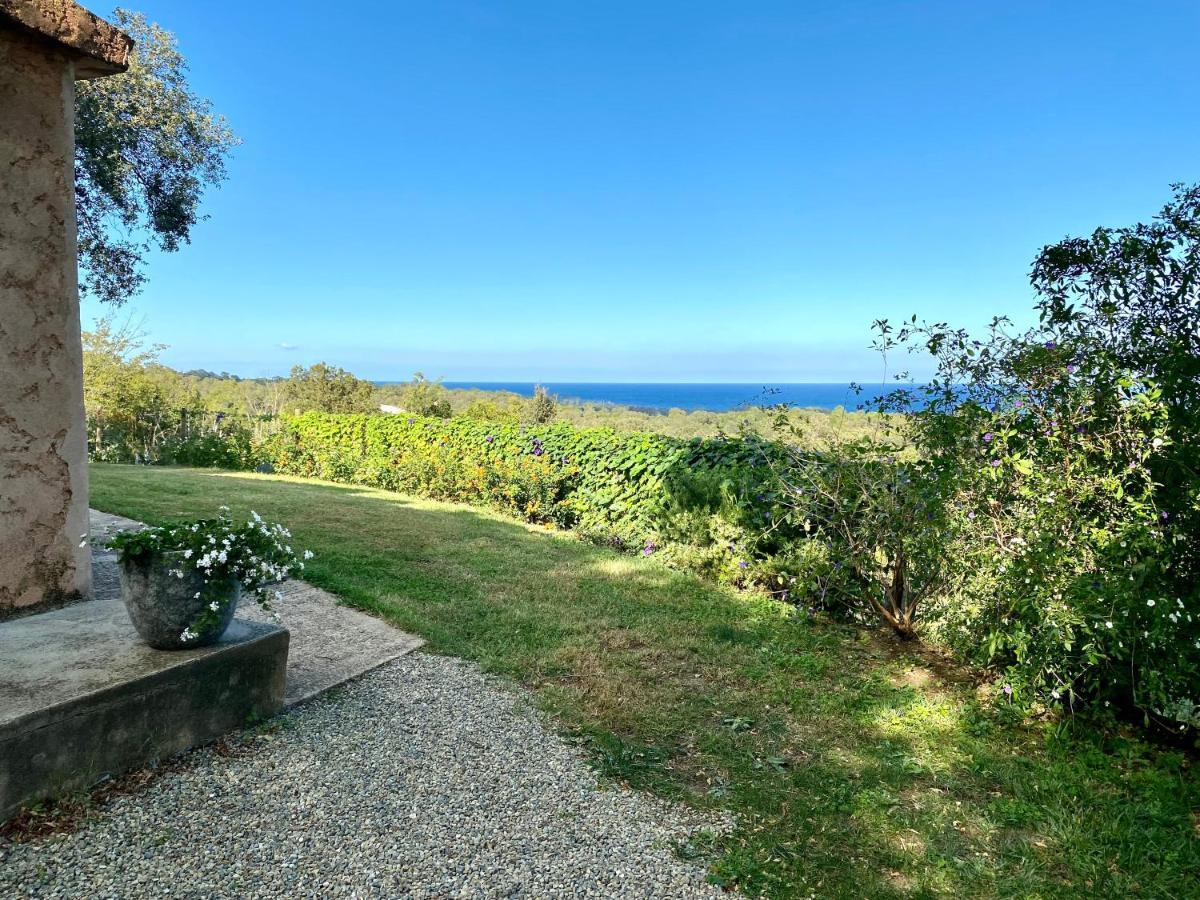 Domaine Punta Della Guardia Villa Panorama Maquis Et Mer, Plage A 1,5 Km 세르비온 외부 사진