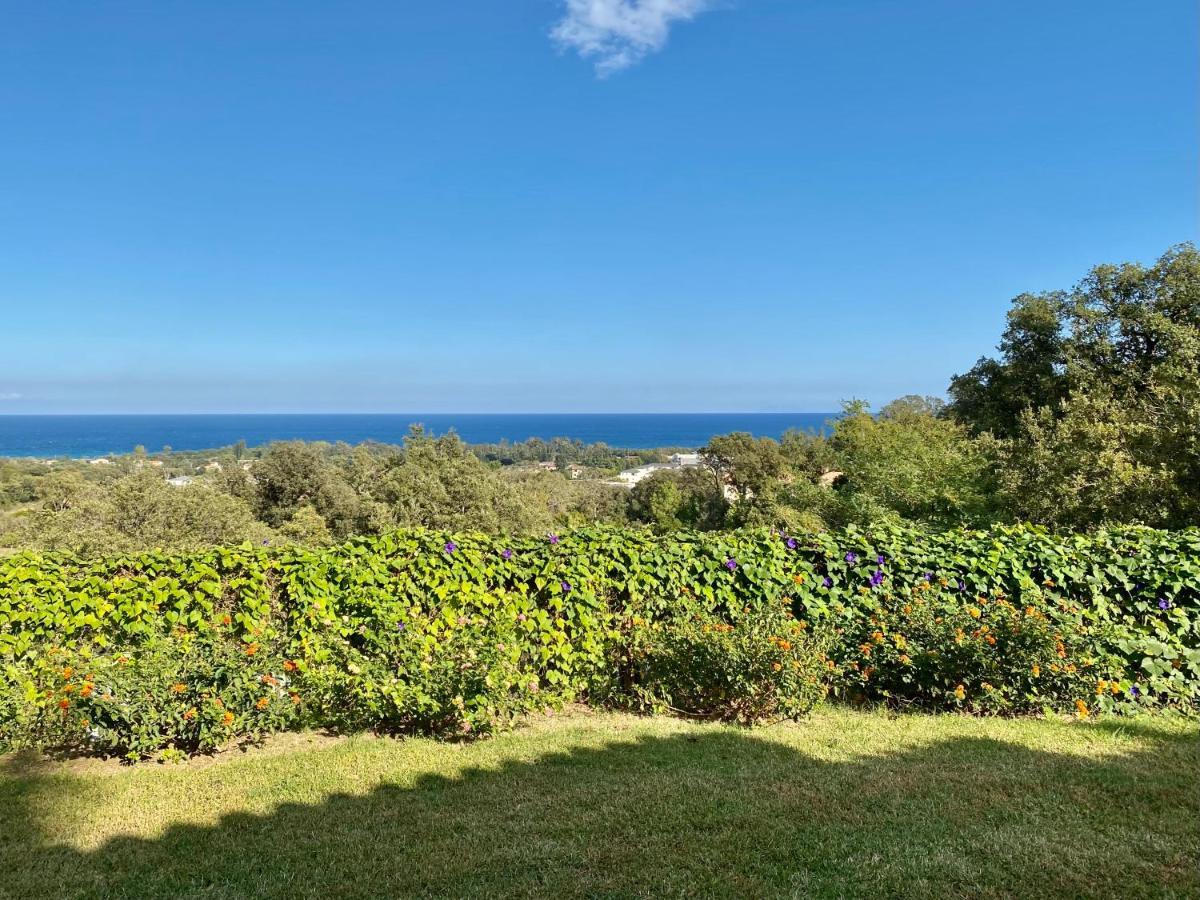 Domaine Punta Della Guardia Villa Panorama Maquis Et Mer, Plage A 1,5 Km 세르비온 외부 사진